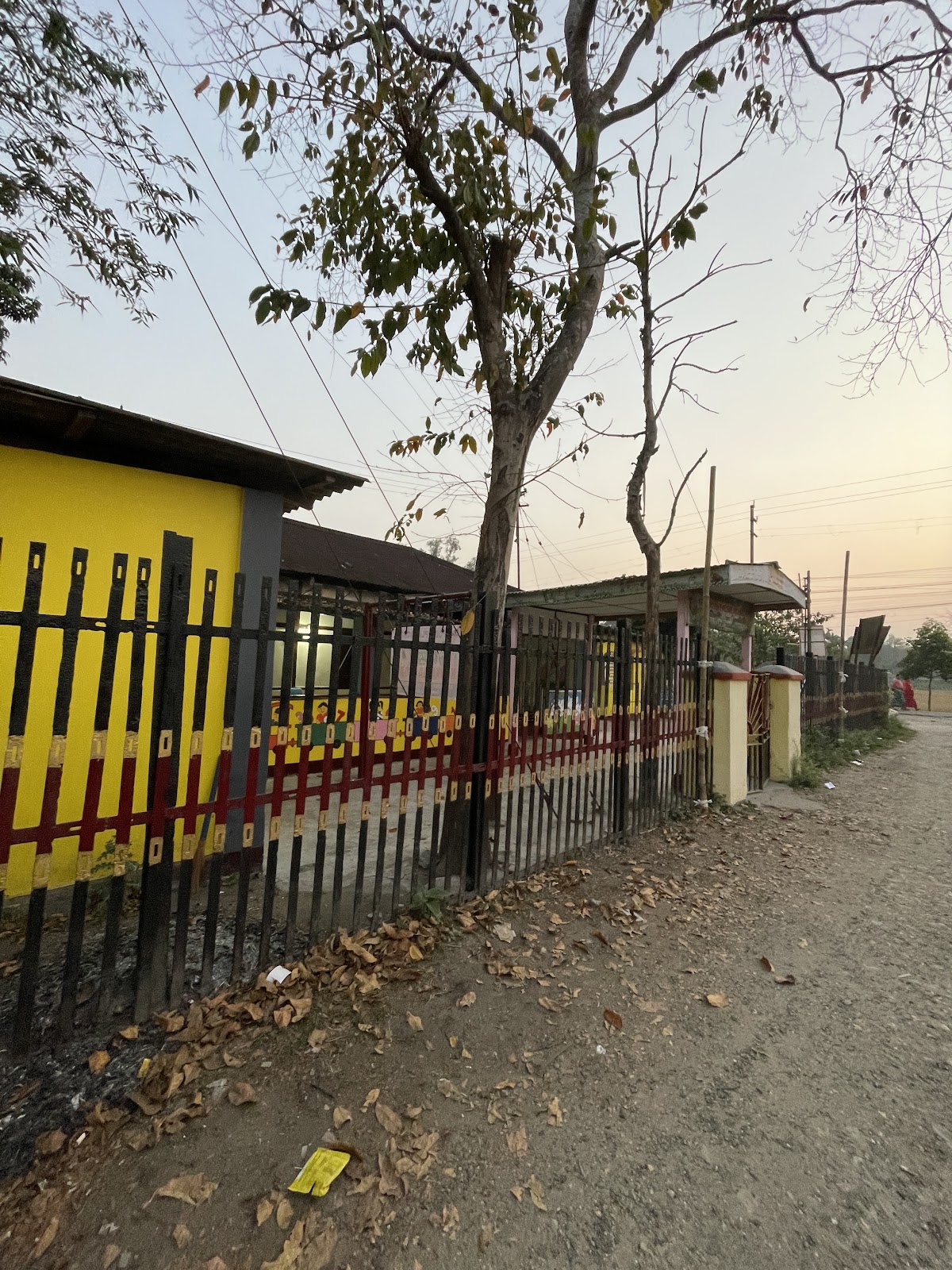 Dafodil Play School